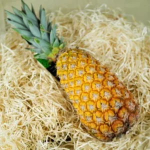ANANAS Pain de Sucre (le kg)