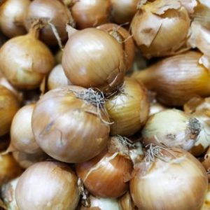 OIGNON Jaune🇫🇷(250g)