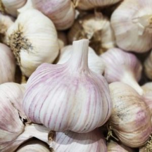 AIL violet🇫🇷(pièce)