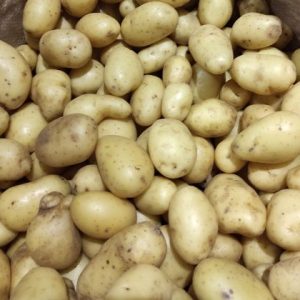 PDT grenaille🇫🇷(500g)