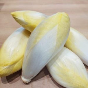 Endive