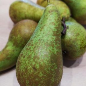 POIRE Conférence (500g)