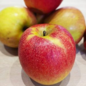 POMME Skyfresh🇫🇷(500g)