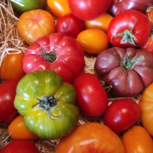 TOMATE d&rsquo;Antan  🇫🇷(500g)