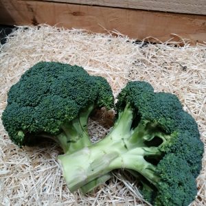 BROCOLI (500g)
