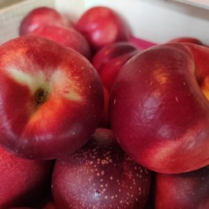 Nectarine blanche🇫🇷(500g)