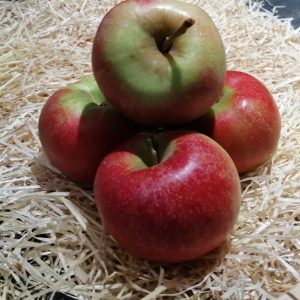Pomme Elstar🇫🇷(500g)
