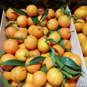 CLEMENTINE CORSE (500g)