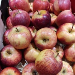 pomme royal gala 🇫🇷(500g)