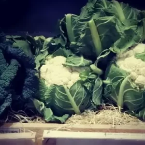 Chou fleur🇫🇷(la pièce)