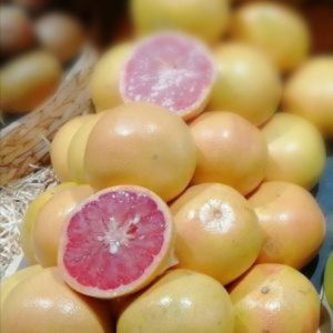 POMELO ROSE (pièce)