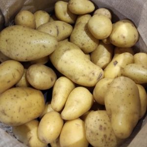 PDT vapeur gratin🇫🇷(500g)