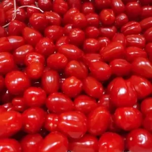 Tomate Coeur de Pigeon🇫🇷(100g)