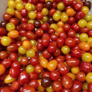 Tomate cerise melangée🇨🇵(100g)