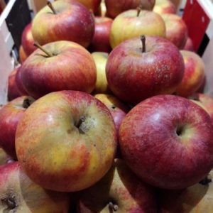 Pomme Cox Orange🇫🇷(500g)