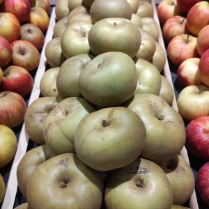 Pomme Canada grise