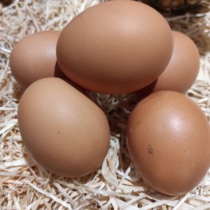 Oeuf bio🇫🇷( la boite de 6)