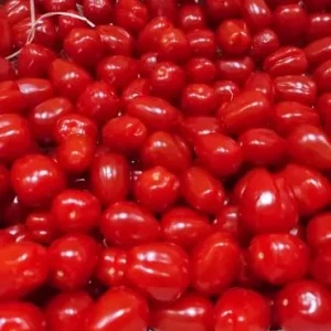 Tomate Coeur de Pigeon🇫🇷(100g)