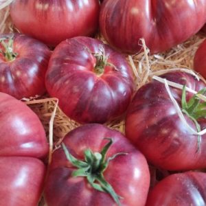 Tomate violine 🇫🇷(500g)