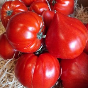Tomate Coeur de boeuf 🇫🇷(500g)