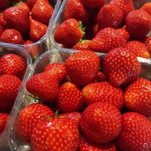 FRAISES Belges((500g)