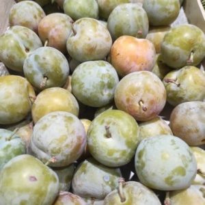Prune de vars🇫🇷(500g)