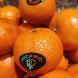 Clémentine orri douce(500g)