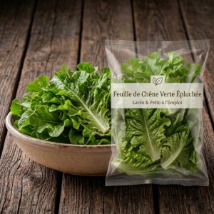 Feuille de chêne verte épluchée🇫🇷(sachet d&rsquo;une salade)