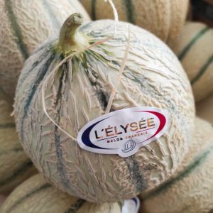 Melon🇫🇷(Pièce)
