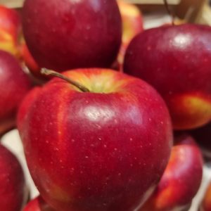 POMME story🇫🇷(500g)