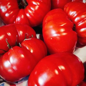 TOMATE pleine terre🇫🇷(500g)